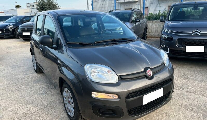 
								Fiat Panda 1.0 FireFly S&S Hybrid pieno									