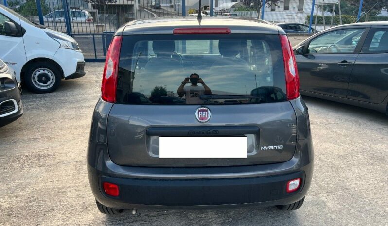 
								Fiat Panda 1.0 FireFly S&S Hybrid pieno									
