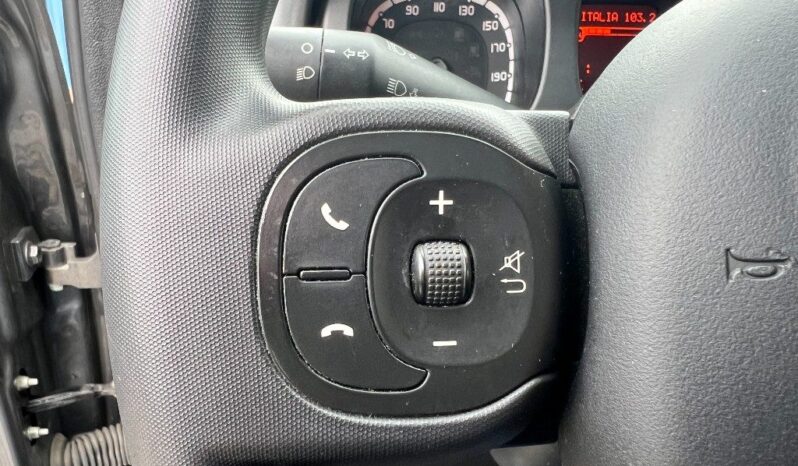 
								Fiat Panda 1.0 Hybrid City Life pieno									