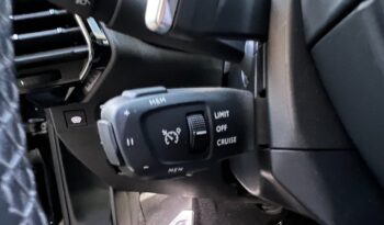 
									DS7 BlueHDi 130 aut. Esprit de Voyage pieno								