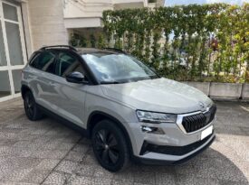 Skoda KAROQ 2.0 TDI 116 CV DSG Executive