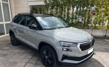 Skoda KAROQ 2.0 TDI 116 CV DSG Executive