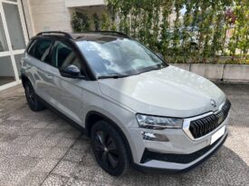Skoda KAROQ 2.0 TDI 116 CV DSG Executive