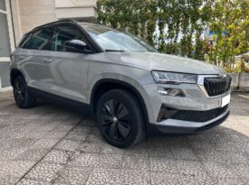 Skoda KAROQ 2.0 TDI 116 CV DSG Executive