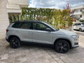 Skoda KAROQ 2.0 TDI 116 CV DSG Executive