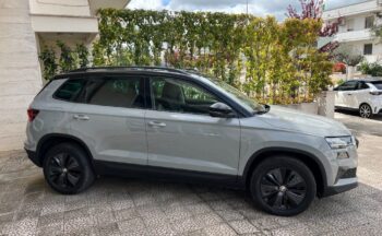 Skoda KAROQ 2.0 TDI 116 CV DSG Executive