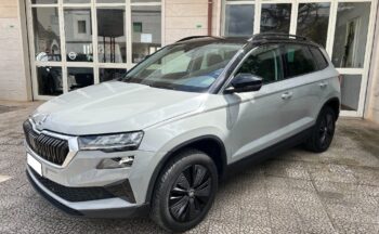 Skoda KAROQ 2.0 TDI 116 CV DSG Executive