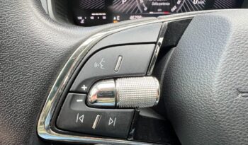 
									Skoda KAROQ 2.0 TDI 116 CV DSG Executive pieno								