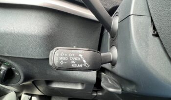 
									Skoda KAROQ 2.0 TDI 116 CV DSG Executive pieno								
