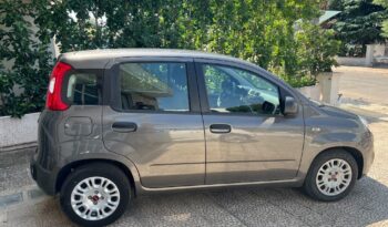 
									Fiat Panda 1.0 FireFly S&S Hybrid .								