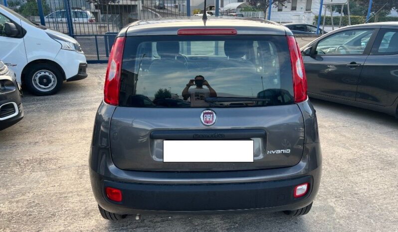 
								Fiat Panda 1.0 FireFly S&S Hybrid .									