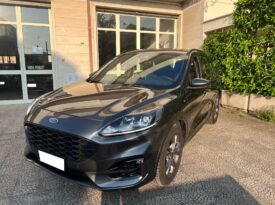 Ford Kuga 1.5 EcoBlue 120 CV aut. 2WD ST-Line