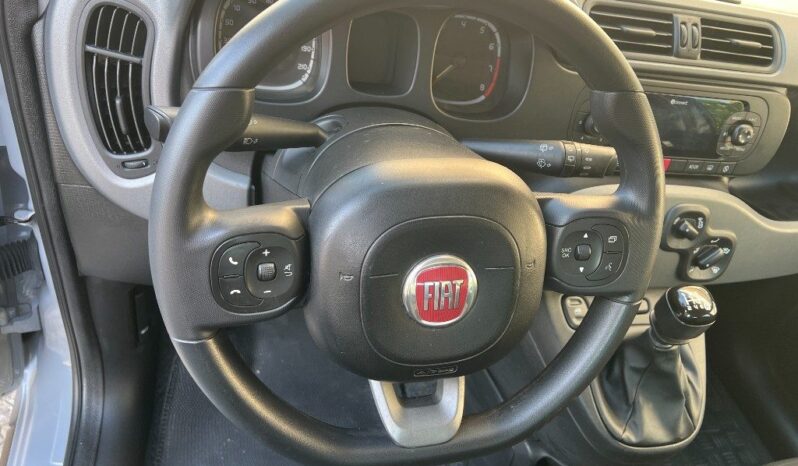 
								Fiat Panda 1.0 Hybrid City Cross .									