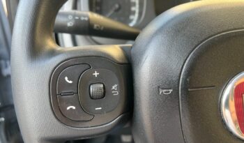 
									Fiat Panda 1.0 Hybrid City Cross .								