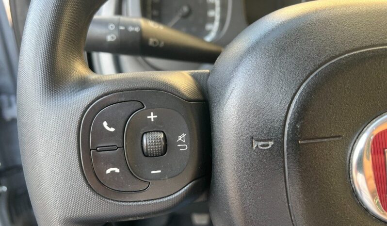 
								Fiat Panda 1.0 Hybrid City Cross .									