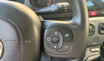 
									Fiat Panda 1.0 Hybrid City Cross .								