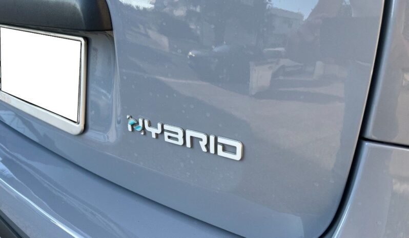 
								Fiat Panda 1.0 Hybrid City Cross .									