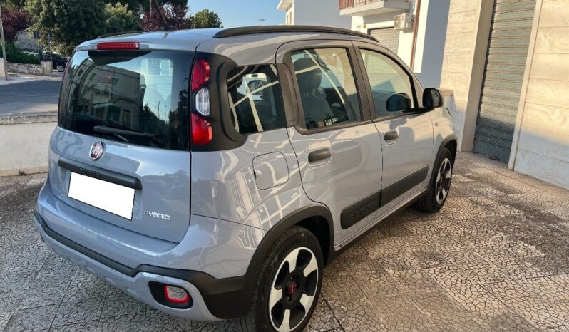 
								Fiat Panda 1.0 Hybrid City Cross .									