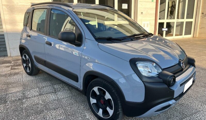
								Fiat Panda 1.0 Hybrid City Cross .									