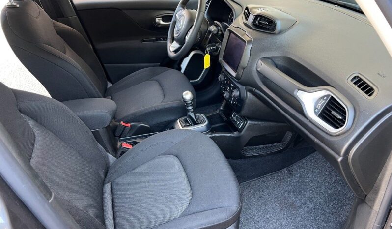 
								Jeep Renegade 1.6 Mjt 120 CV .									