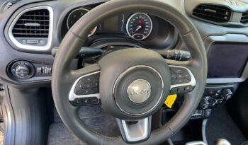 
									Jeep Renegade 1.6 Mjt 120 CV .								