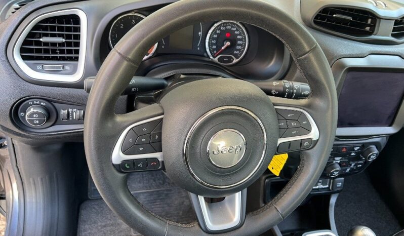 
								Jeep Renegade 1.6 Mjt 120 CV .									