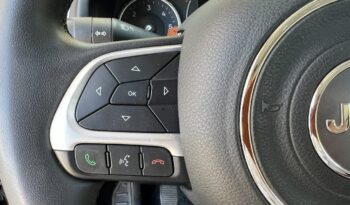 
									Jeep Renegade 1.6 Mjt 120 CV .								