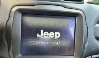 
									Jeep Renegade 1.6 Mjt 120 CV .								