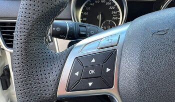 
									Mercedes-Benz ML 250 BlueTEC 4Matic .								