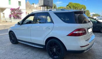 
									Mercedes-Benz ML 250 BlueTEC 4Matic .								