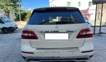 
									Mercedes-Benz ML 250 BlueTEC 4Matic .								
