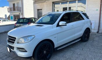 
									Mercedes-Benz ML 250 BlueTEC 4Matic .								