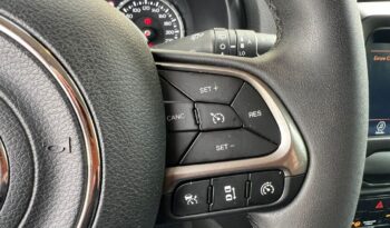 
									Jeep Renegade 1.6 Mjt 130 CV Limited .								