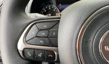 
									Jeep Renegade 1.6 Mjt 130 CV Limited .								