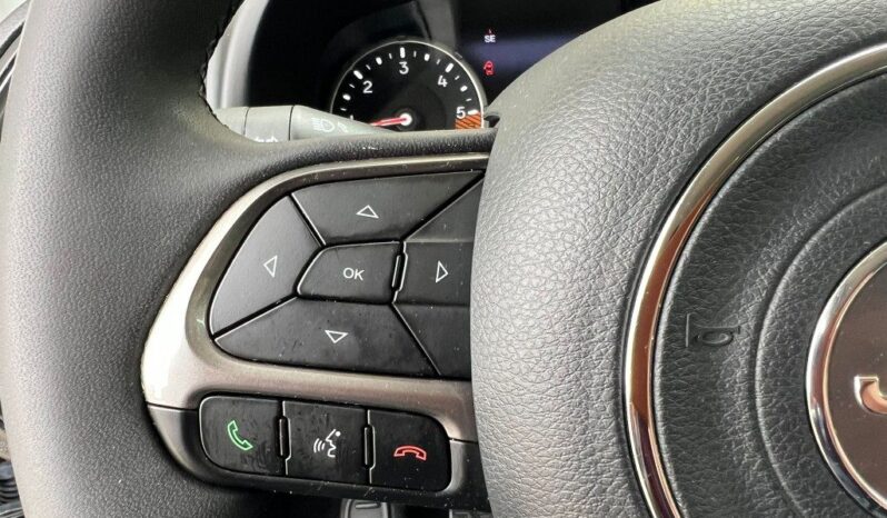 
								Jeep Renegade 1.6 Mjt 130 CV Limited .									