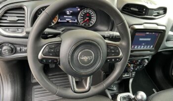 
									Jeep Renegade 1.6 Mjt 130 CV Limited .								