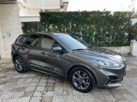 Ford Kuga 2.0 EcoBlue 120 CV aut. 2WD ST-Line