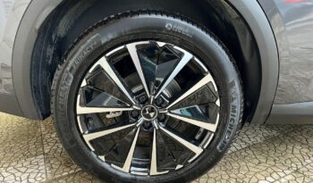 
									DS7 BlueHDi 130 aut. Pallas .								