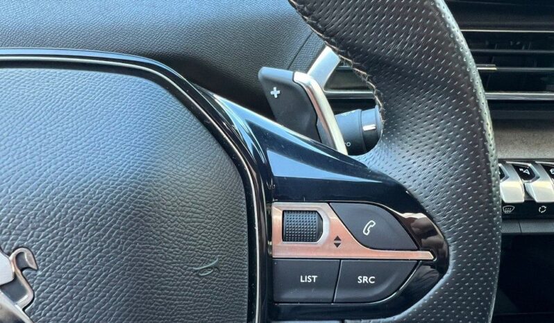 
								Peugeot 3008 BlueHDi 130 S&S EAT8 GT .									