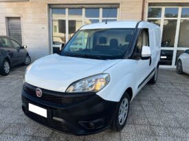 Fiat Doblò 1.3 MJT PC-TN Cargo Lamierato SX 3 Posti