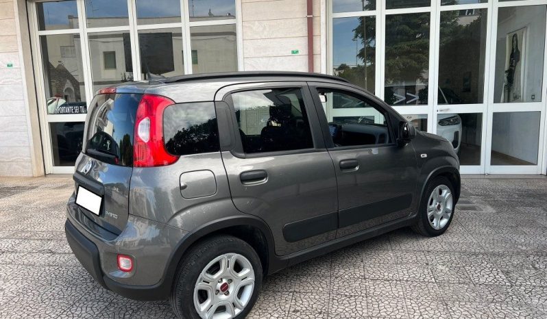 
 Fiat Panda 1.0 FireFly S&S Hybrid .									