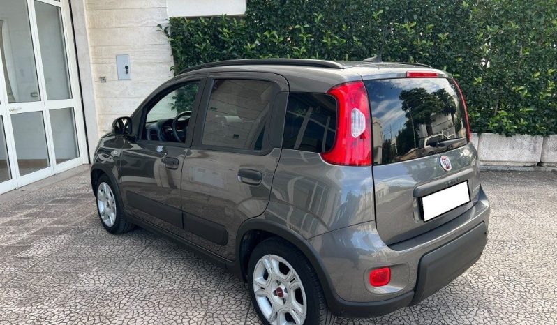 
 Fiat Panda 1.0 FireFly S&S Hybrid .									