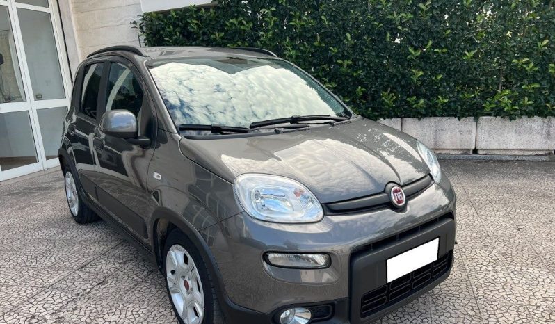
 Fiat Panda 1.0 FireFly S&S Hybrid .									