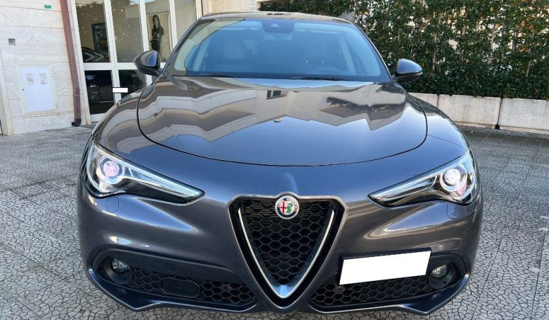 
 Alfa Romeo Stelvio 2.2 210 CV AT8 Q4 Super .									