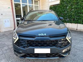 Kia Sportage 1.6 CRDi MHEV Auto GT-line